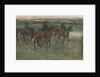 Racehorses by Edgar Degas