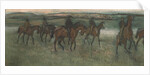 Racehorses by Edgar Degas