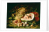 Still Life of Fruit on a Ledge by Frans Snyders or Snijders