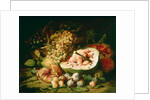 Still Life of Fruit on a Ledge by Frans Snyders or Snijders