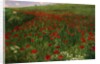 The Poppy Field, 1896 by Pal Szinyei Merse