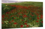 The Poppy Field, 1896 by Pal Szinyei Merse