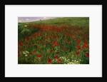 The Poppy Field, 1896 by Pal Szinyei Merse