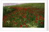 The Poppy Field, 1896 by Pal Szinyei Merse