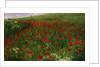 The Poppy Field, 1896 by Pal Szinyei Merse