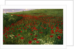 The Poppy Field, 1896 by Pal Szinyei Merse