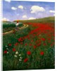 The Poppy Field by Pal Szinyei Merse