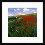 The Poppy Field by Pal Szinyei Merse