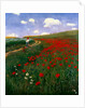 The Poppy Field by Pal Szinyei Merse