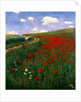 The Poppy Field by Pal Szinyei Merse