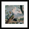 Palace of Amsterdam with Exotic Birds by Melchior de Hondecoeter