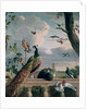 Palace of Amsterdam with Exotic Birds by Melchior de Hondecoeter