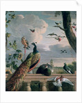 Palace of Amsterdam with Exotic Birds by Melchior de Hondecoeter