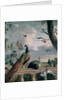 Palace of Amsterdam with Exotic Birds by Melchior de Hondecoeter