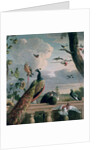 Palace of Amsterdam with Exotic Birds by Melchior de Hondecoeter