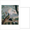 Palace of Amsterdam with Exotic Birds by Melchior de Hondecoeter