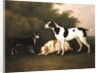Three Dogs in a Landscape by John Boultbee
