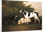 Three Dogs in a Landscape by John Boultbee
