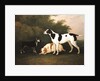 Three Dogs in a Landscape by John Boultbee
