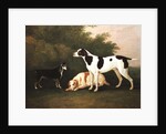 Three Dogs in a Landscape by John Boultbee