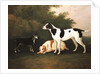 Three Dogs in a Landscape by John Boultbee