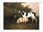 Three Dogs in a Landscape by John Boultbee