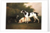 Three Dogs in a Landscape by John Boultbee