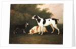 Three Dogs in a Landscape by John Boultbee