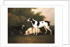 Three Dogs in a Landscape by John Boultbee