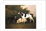 Three Dogs in a Landscape by John Boultbee