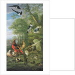 Cock pheasant, hen pheasant and chicks and other birds in a classical landscape by Pieter Casteels