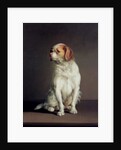 Portrait of a King Charles Spaniel by Louis Leopold Boilly