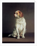Portrait of a King Charles Spaniel by Louis Leopold Boilly