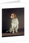 Portrait of a King Charles Spaniel by Louis Leopold Boilly