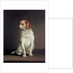Portrait of a King Charles Spaniel by Louis Leopold Boilly