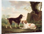Two spaniels in a landscape by Charles Towne