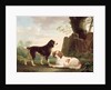 Two spaniels in a landscape by Charles Towne