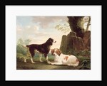 Two spaniels in a landscape by Charles Towne