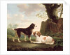 Two spaniels in a landscape by Charles Towne