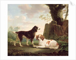 Two spaniels in a landscape by Charles Towne