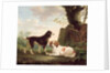 Two spaniels in a landscape by Charles Towne