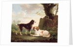 Two spaniels in a landscape by Charles Towne