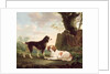 Two spaniels in a landscape by Charles Towne