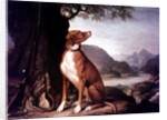 G. M. Johnston's favourite gun dog in a landscape by J. Francis Sartorius