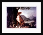 G. M. Johnston's favourite gun dog in a landscape by J. Francis Sartorius