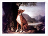 G. M. Johnston's favourite gun dog in a landscape by J. Francis Sartorius