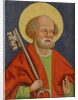 St. Peter, Storno by Hungarian School