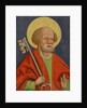 St. Peter, Storno by Hungarian School