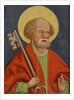 St. Peter, Storno by Hungarian School