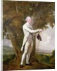 Portrait of John Milnes, 12th Duke of St. Albans c.1771-72 by Joseph Wright of Derby